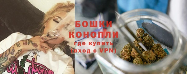 гашик Пересвет