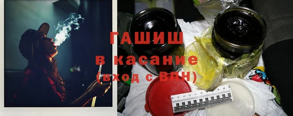 гашик Пересвет