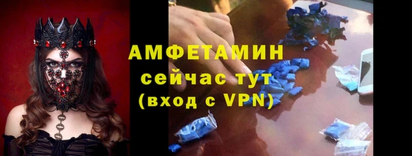 гашик Пересвет