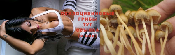 первитин Покров