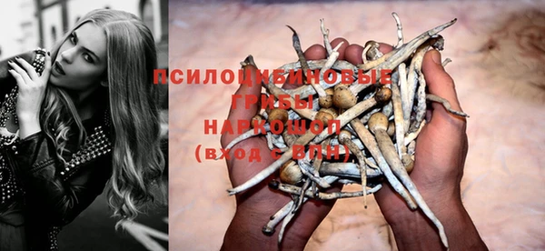 Альфа ПВП Пестово