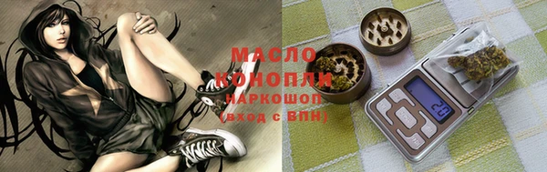 гашик Пересвет