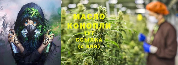 гашик Пересвет