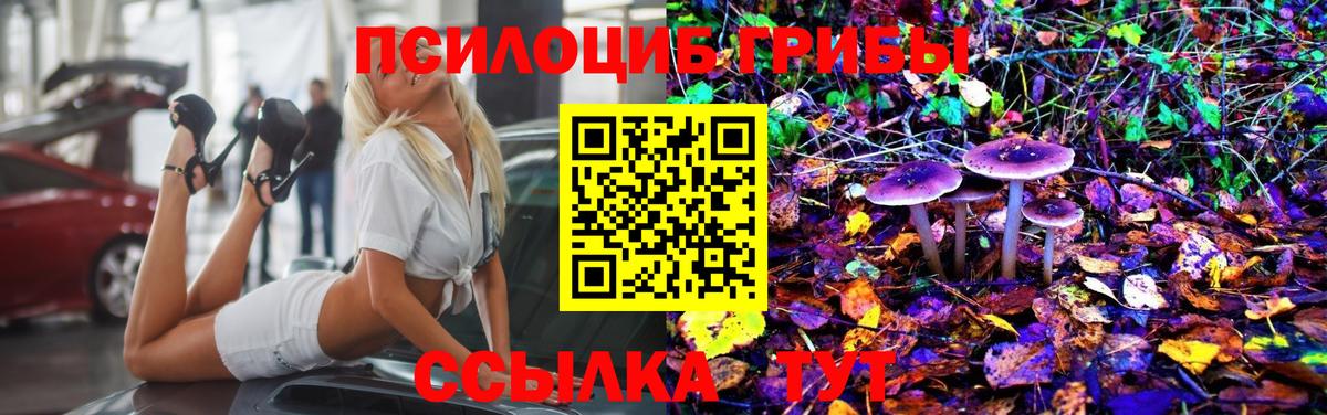 Псилоцибиновые грибы MAGIC MUSHROOMS Великий Новгород